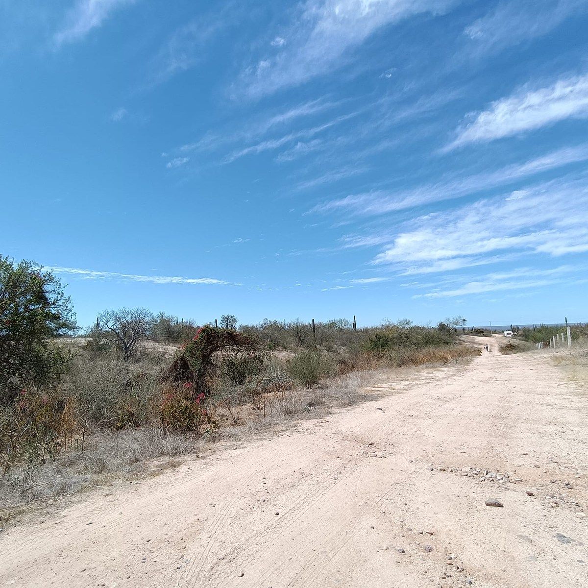 4 de 6: Superficie 1,500 m2