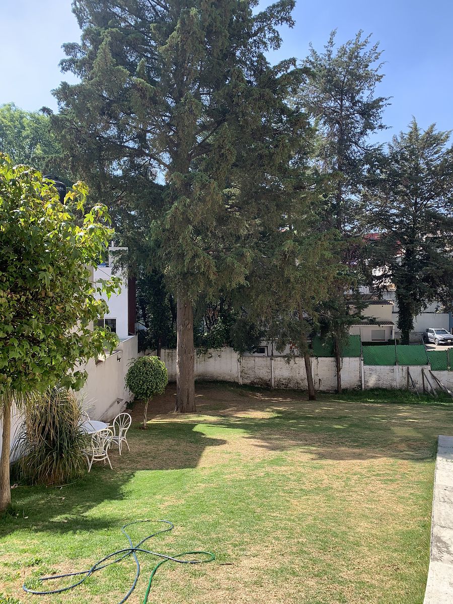 16 of 27: Jardín común