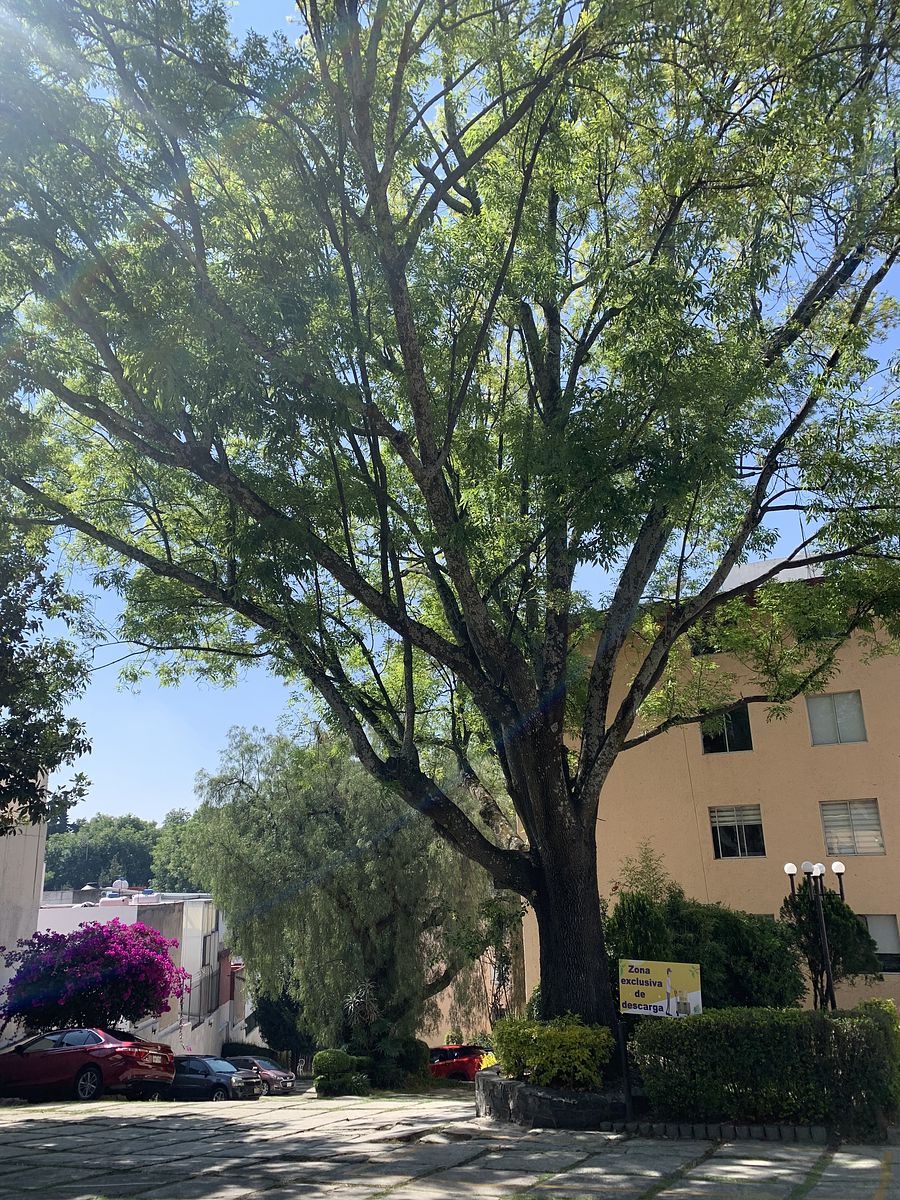 19 of 27: Vista de conjunto