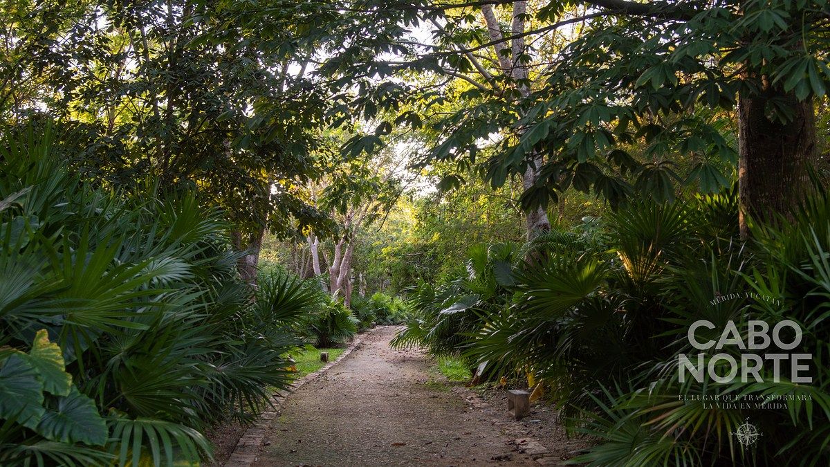 15 de 19: Amenidades