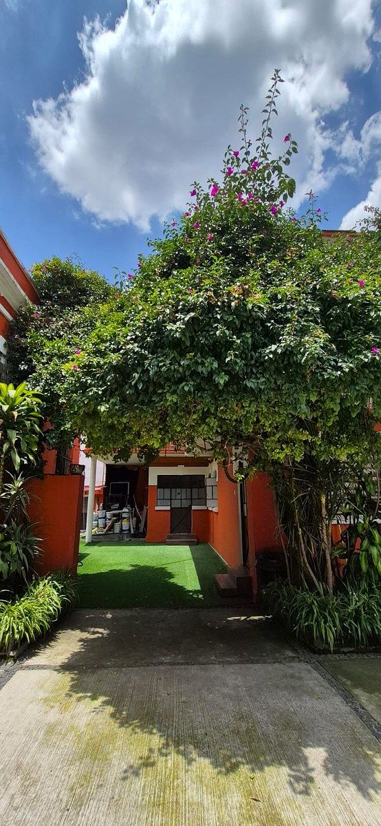 Oficina en Barrio Santa Catarina, Coyoacán, foto 11 de 18