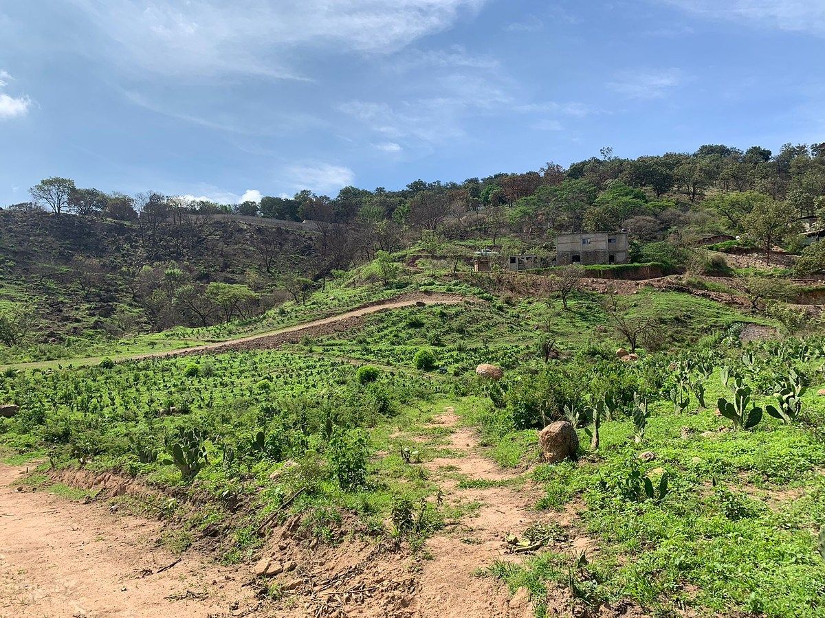 TERRENO EN VENTA EN SAN ESTEBAN - foto 2