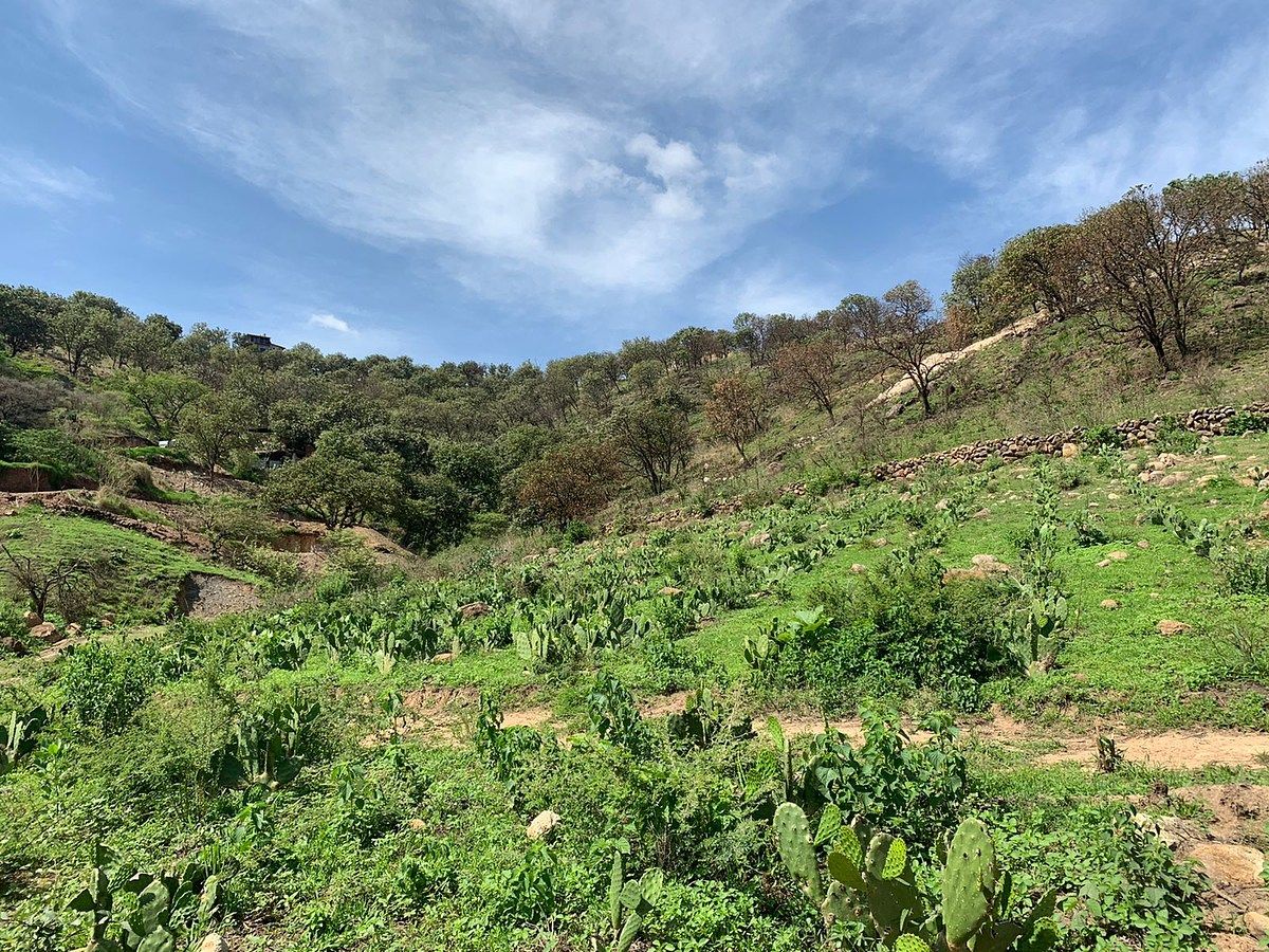 TERRENO EN VENTA EN SAN ESTEBAN - foto 4