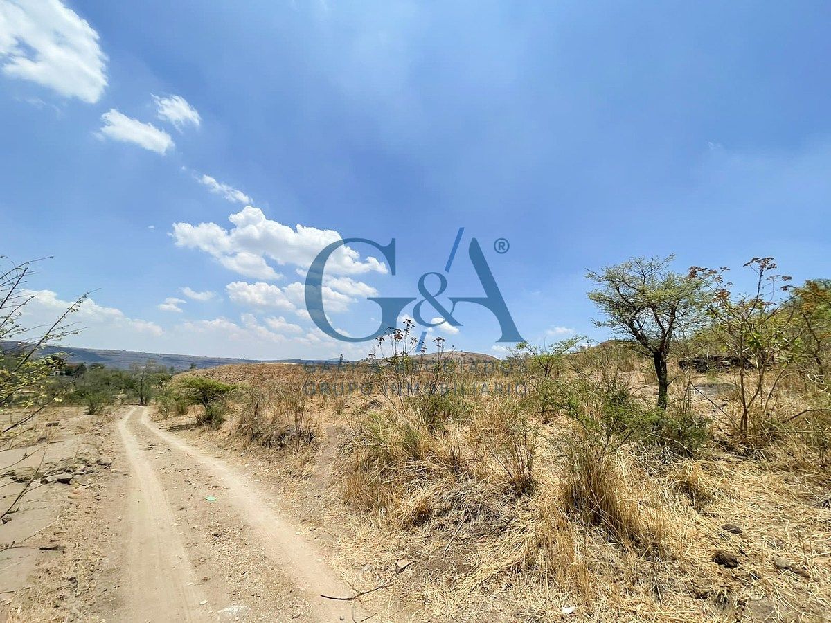 LAND FOR SALE KM 16 OF THE GUADALAJARA - SALTILLO HIGHWAY - foto 2