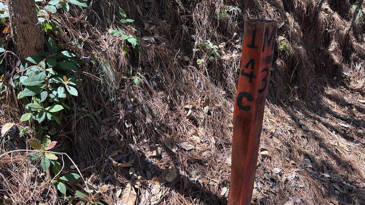 7 de 34: TOMA DE LUZ Y AGUA A PIE DE TERRENO