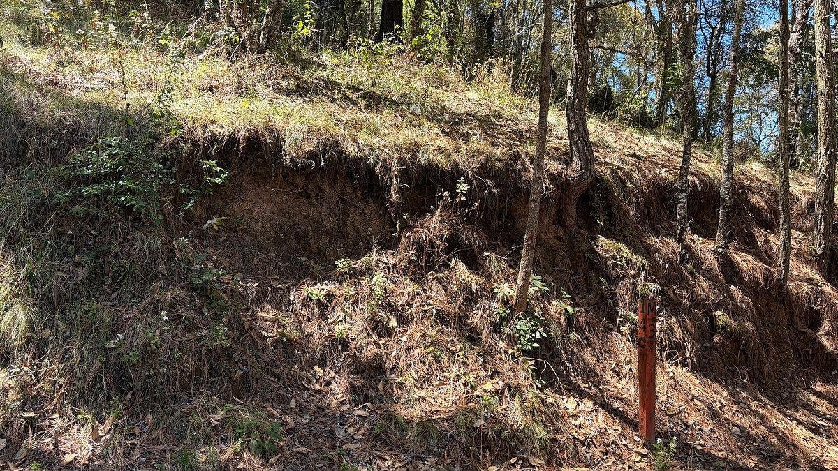 12 de 34: FRENTE DEL TERRENO