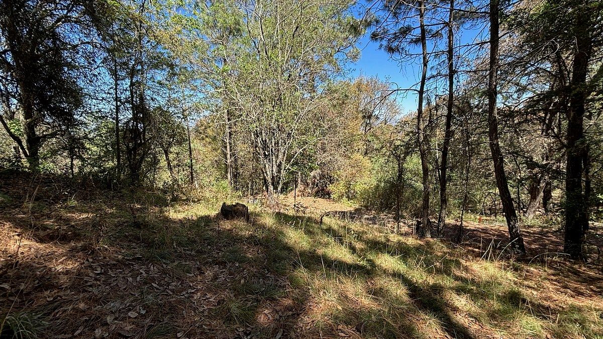 14 de 34: VISTAS DESDE EL TERRENO