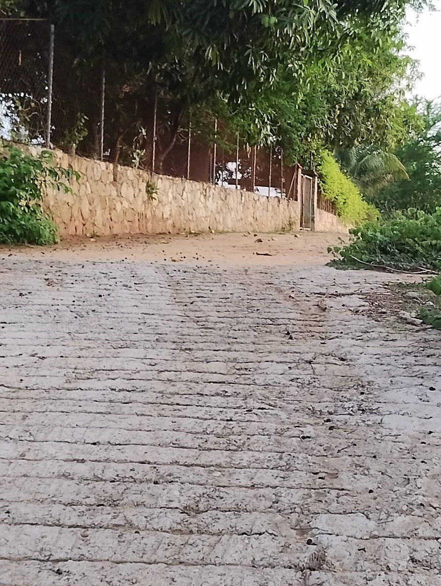 Terreno en Puerto Escondido Centro, San Pedro Mixtepec, foto 5 de 21