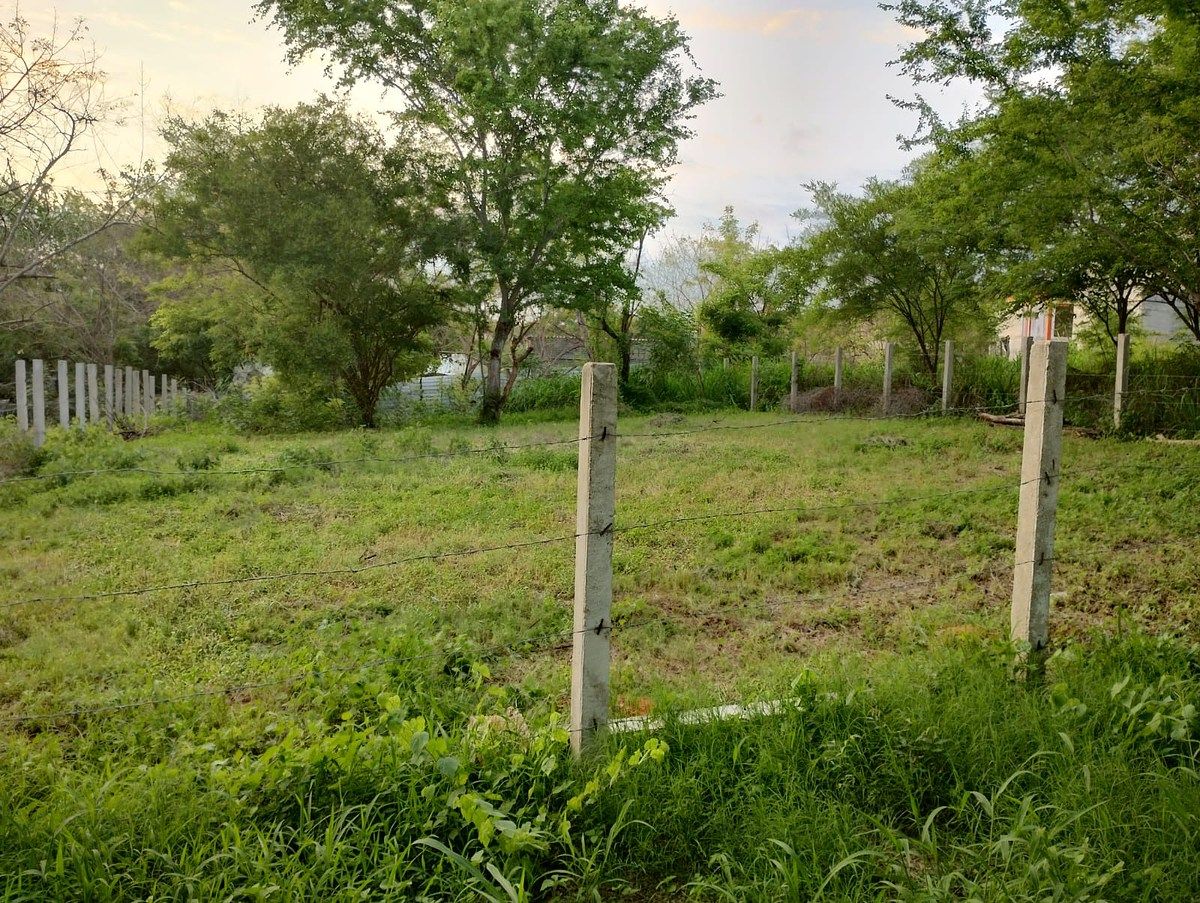 Terreno en Puerto Escondido Centro, San Pedro Mixtepec, foto 9 de 21