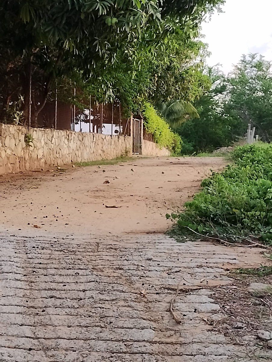 Terreno en Puerto Escondido Centro, San Pedro Mixtepec, foto 10 de 21