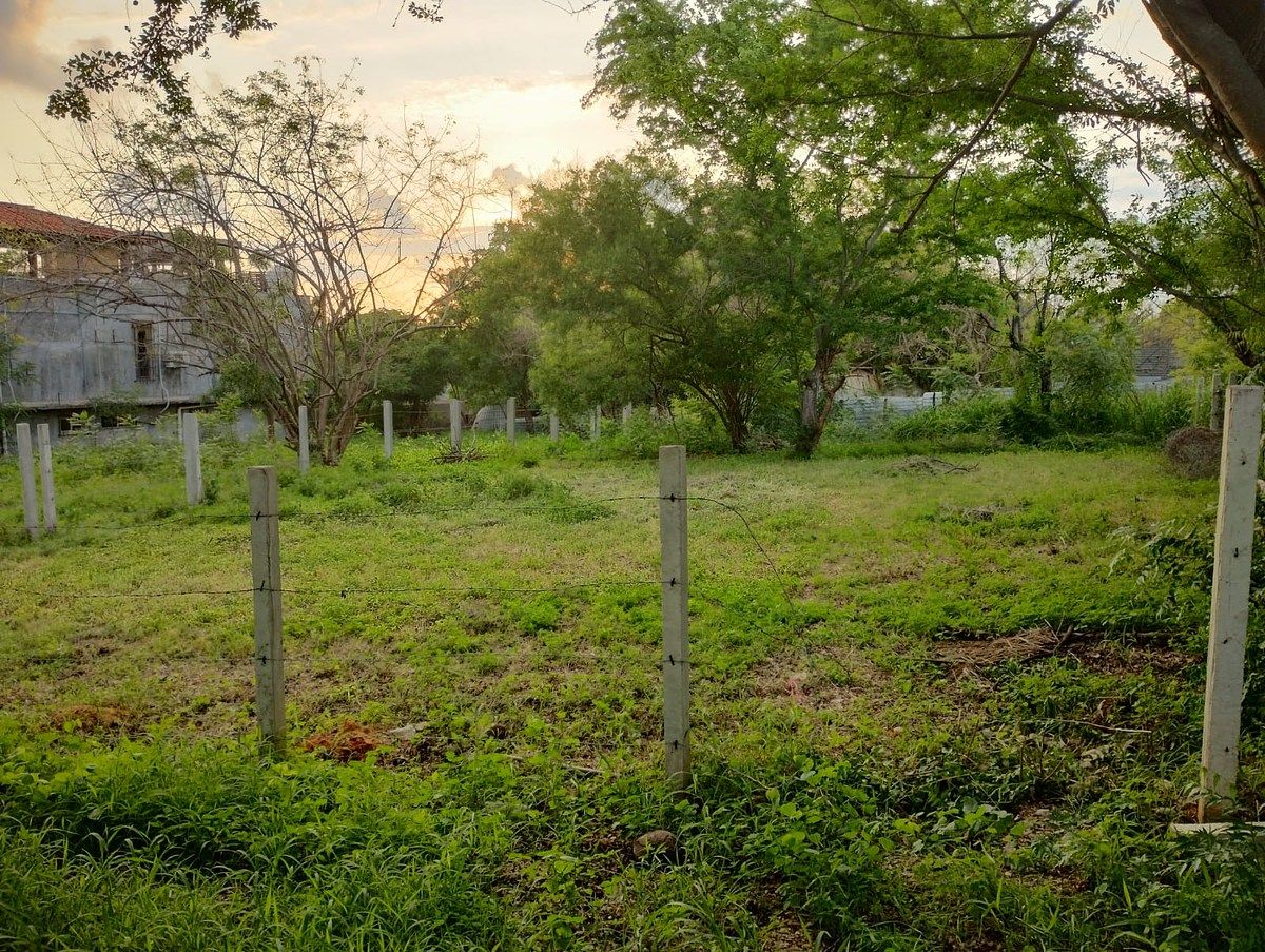 Terreno en Puerto Escondido Centro, San Pedro Mixtepec, foto 11 de 21