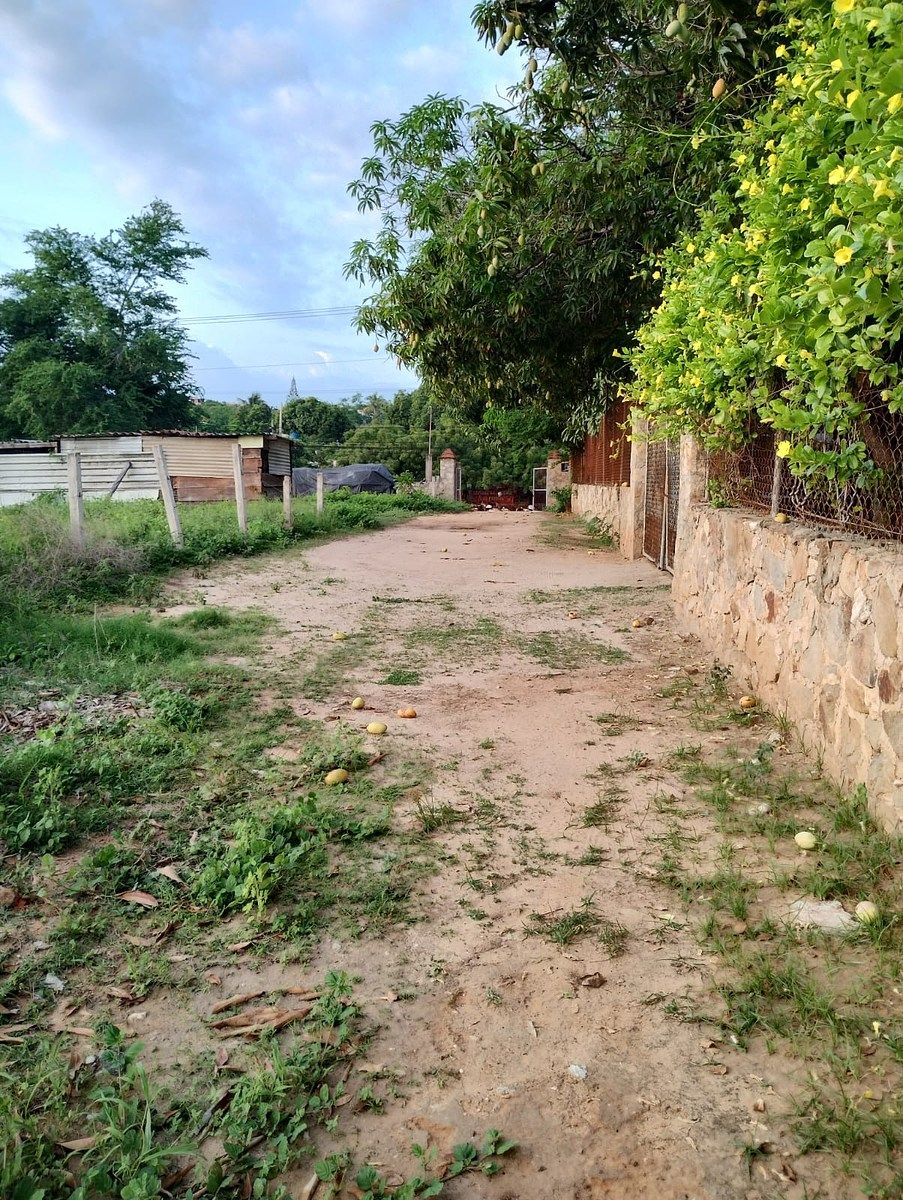 Terreno en Puerto Escondido Centro, San Pedro Mixtepec, foto 14 de 21