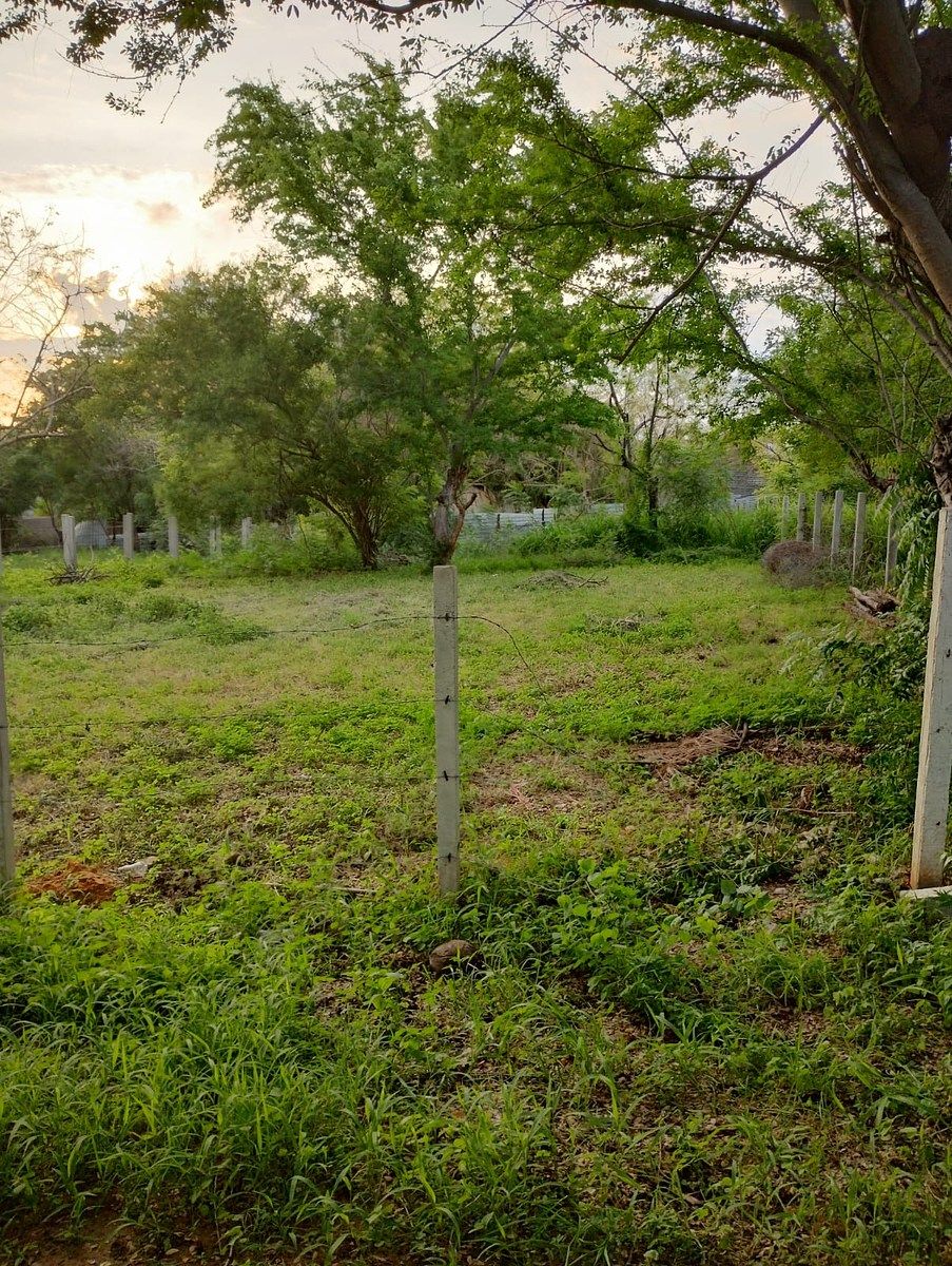 Terreno en Puerto Escondido Centro, San Pedro Mixtepec, foto 13 de 21