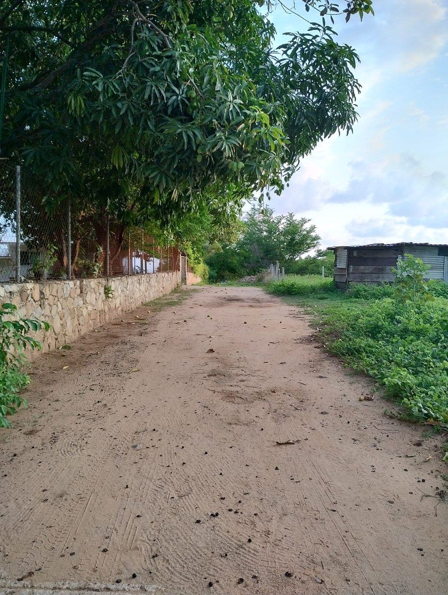 Terreno en Puerto Escondido Centro, San Pedro Mixtepec, foto 15 de 21