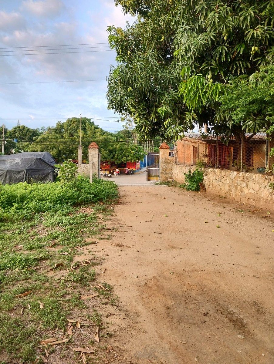 Terreno en Puerto Escondido Centro, San Pedro Mixtepec, foto 16 de 21