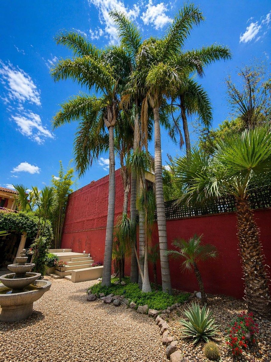 Casa en El Mirador, San Miguel de Allende, foto 25 de 32