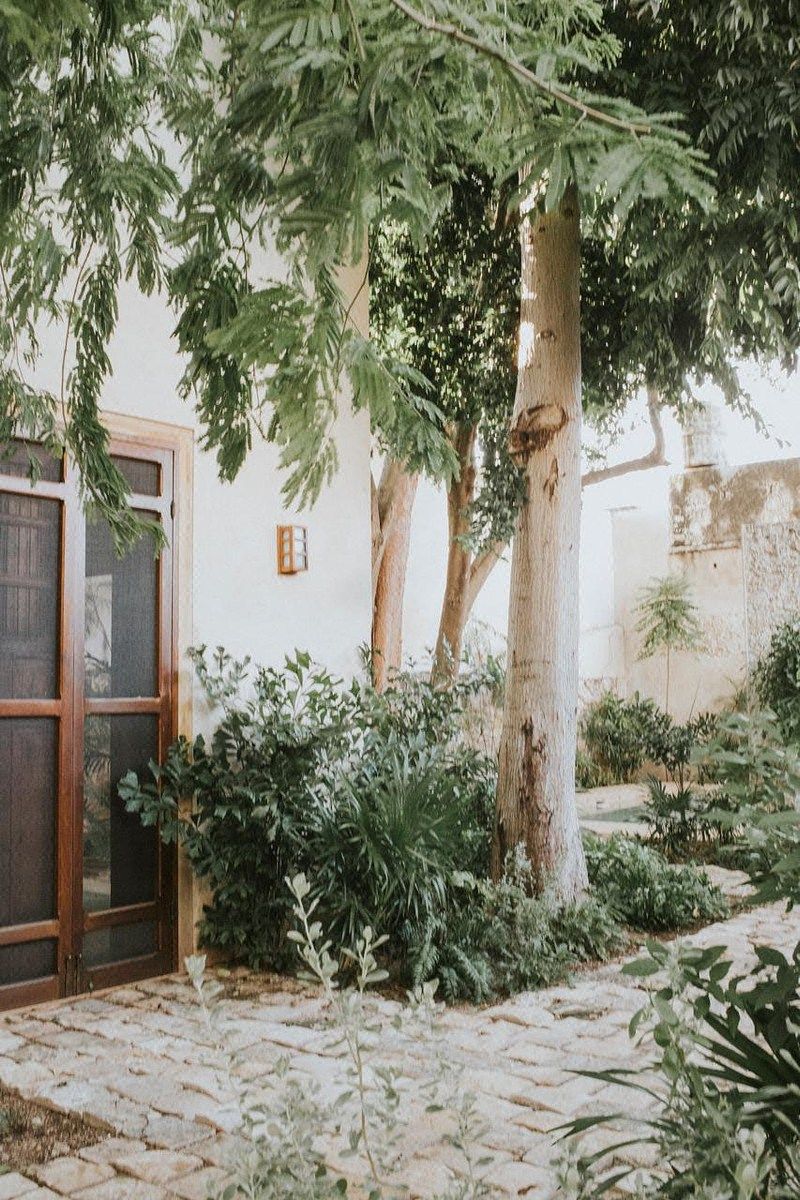 Casa en Mérida Centro, Mérida, foto 39 de 47