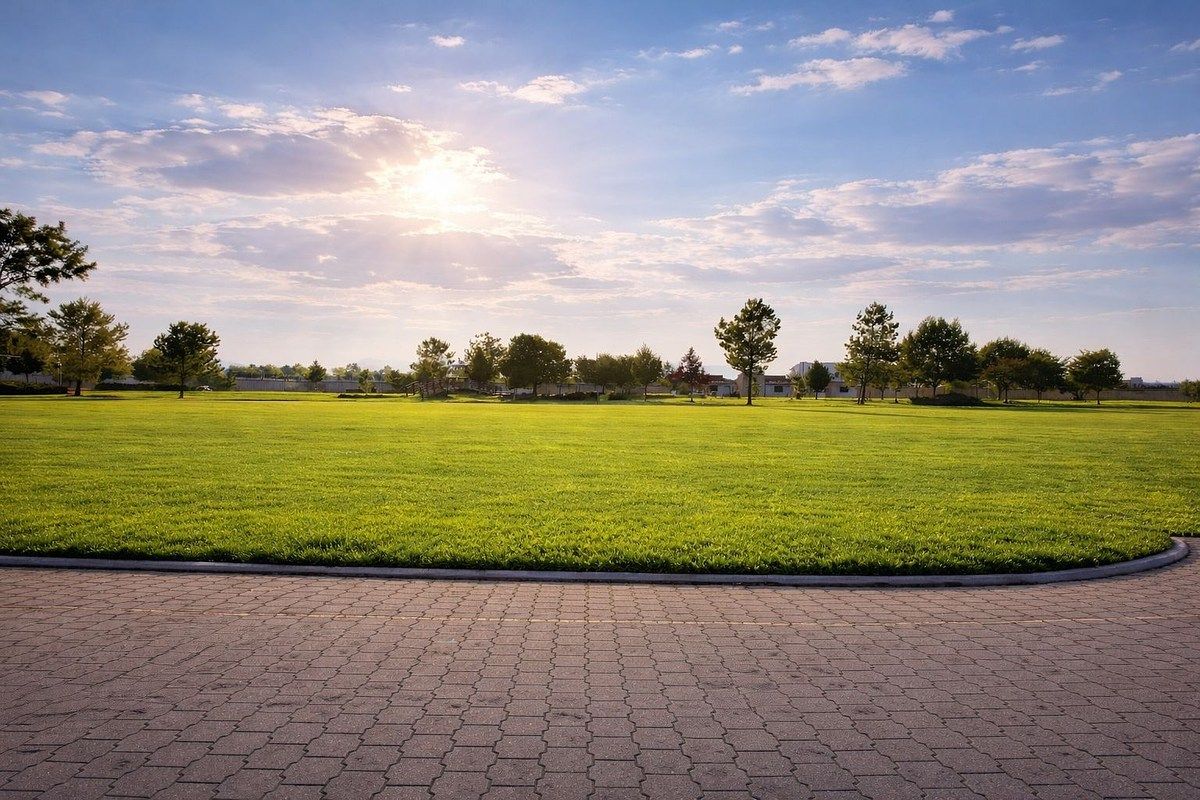 2 de 6: Terreno de Frente