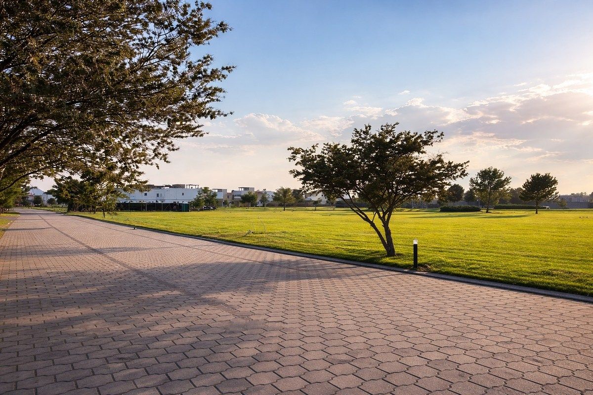 3 de 6: Lado Izquierdo