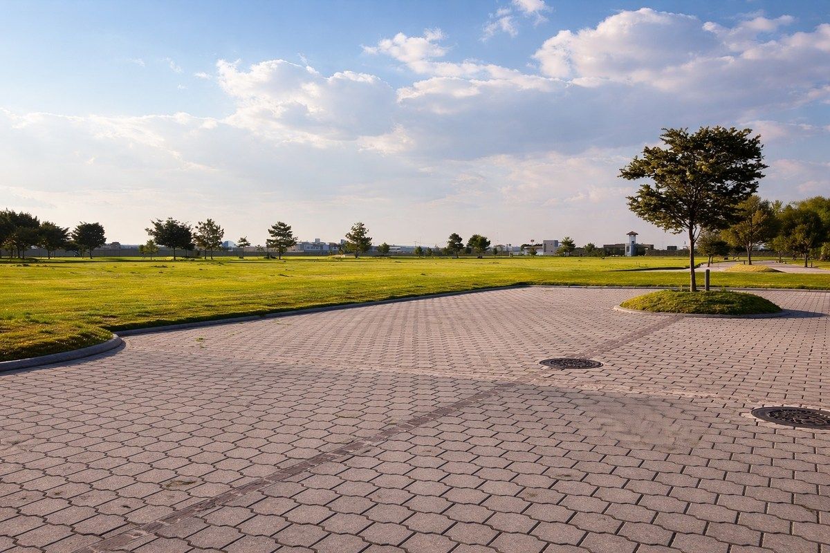 4 de 6: Lado Derecho