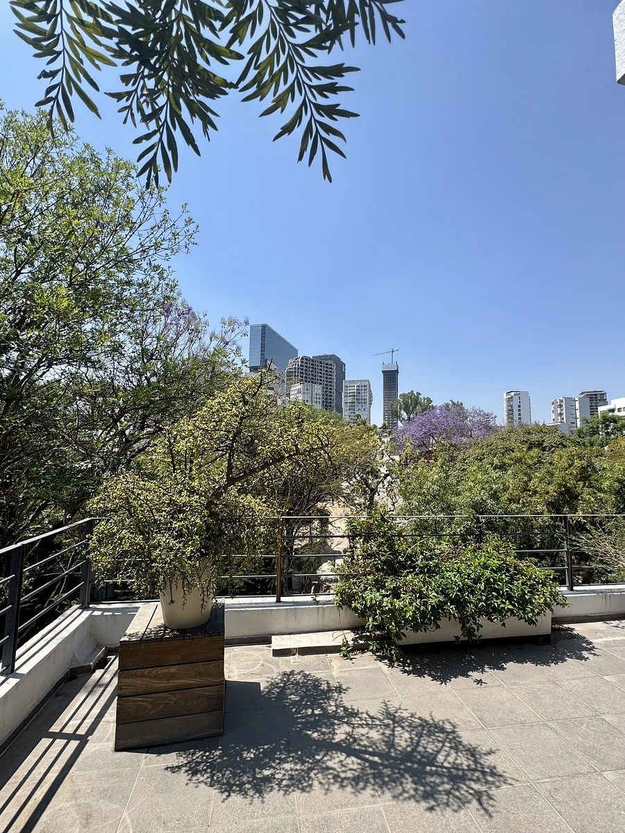 25 de 33: Roof top privado