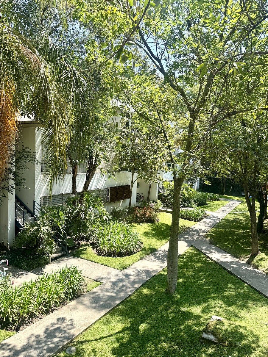 3 de 33: Áreas verdes