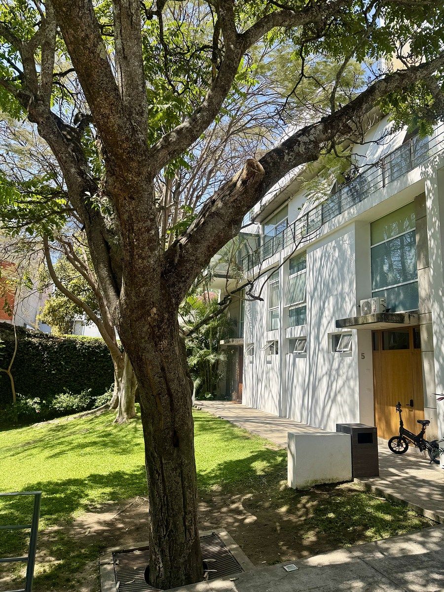 31 de 33: Área verde comun