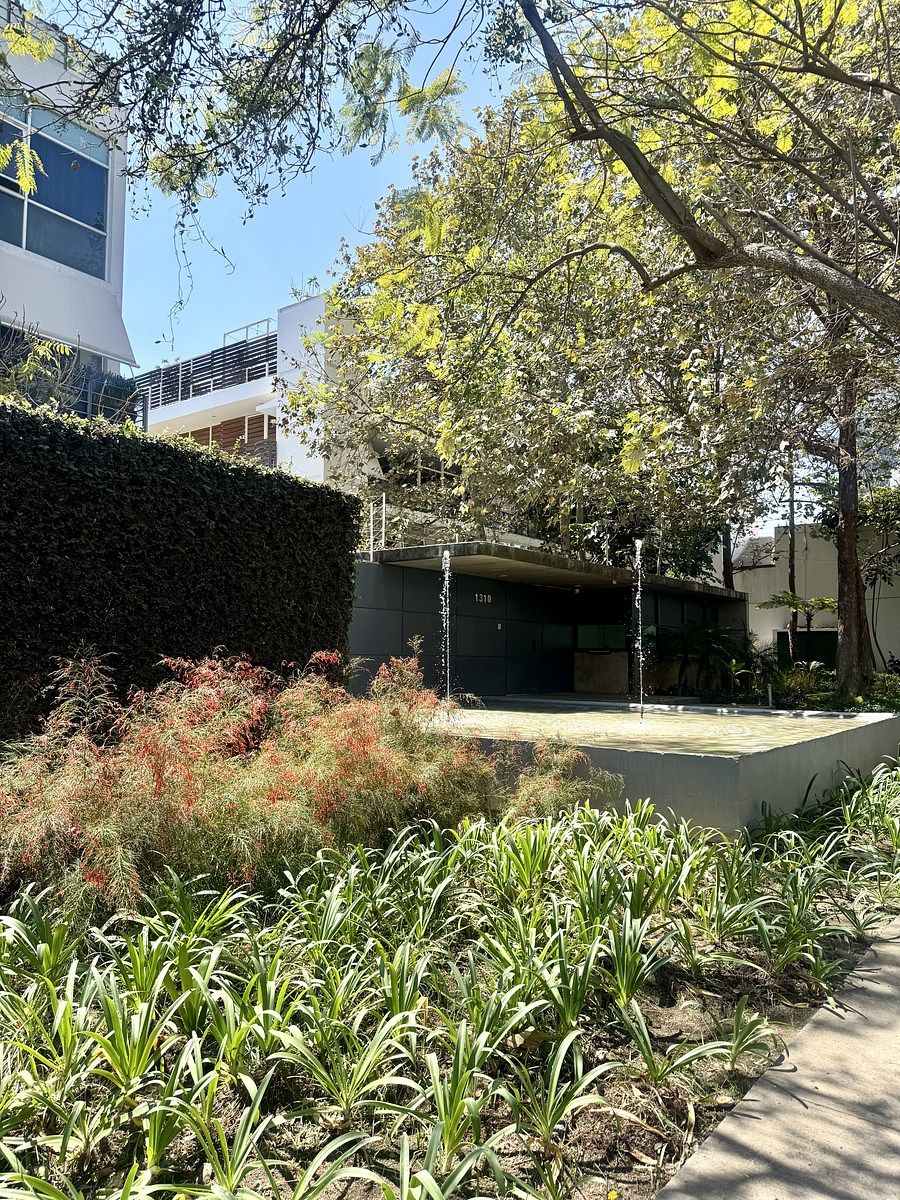 33 de 33: Entrada desarrollo