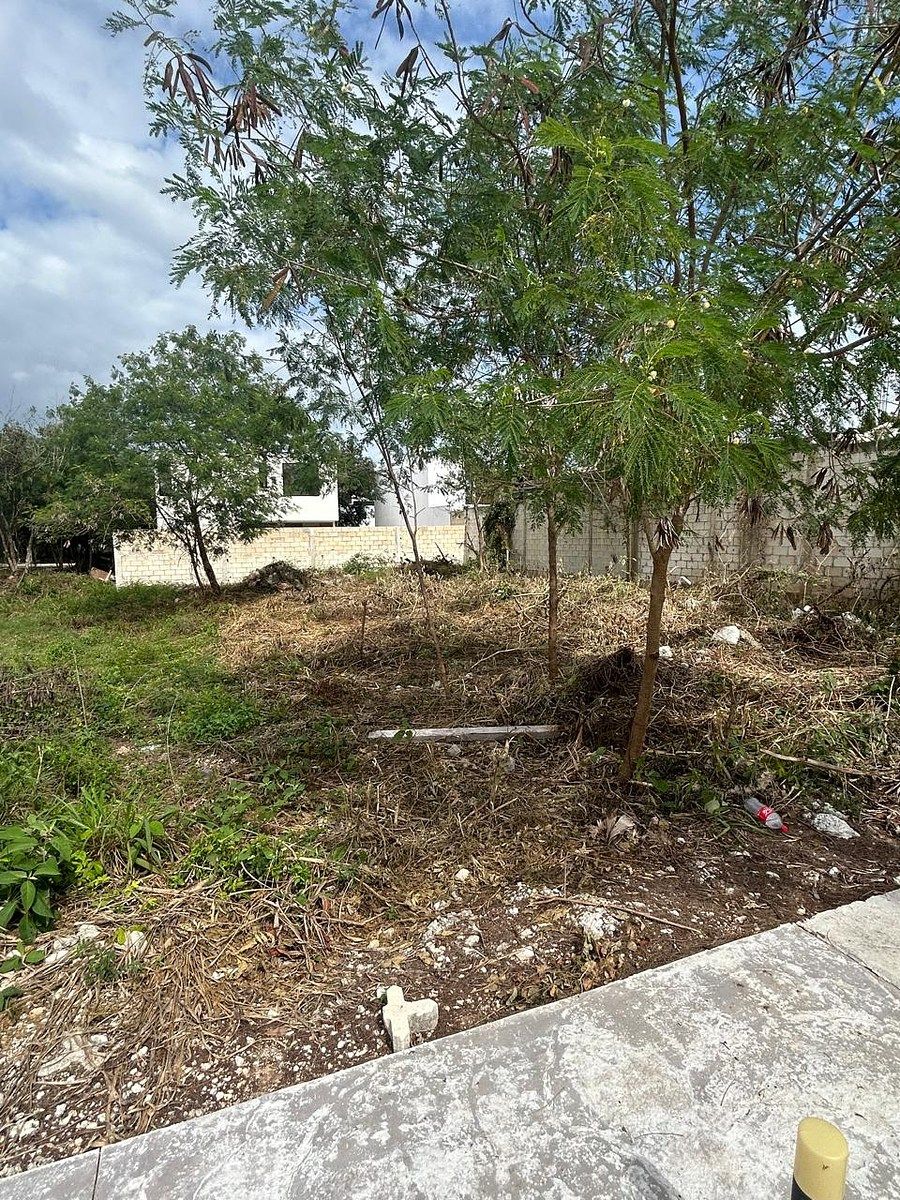 Terreno en Cholul, Mérida, foto 10 de 19