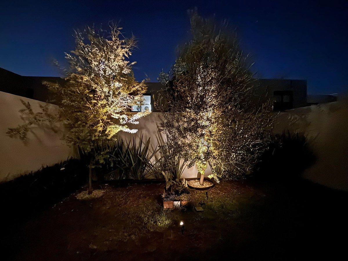 13 de 20: Jardín con excedente