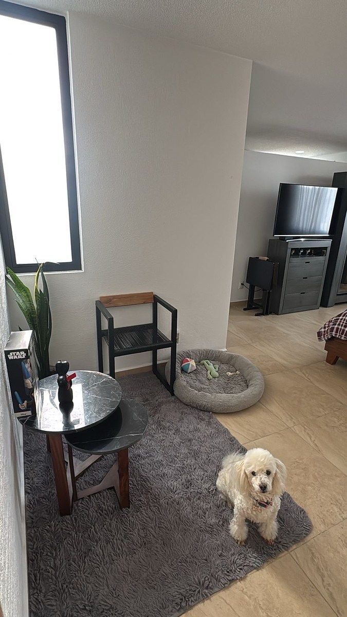 11 de 20: recámara principal