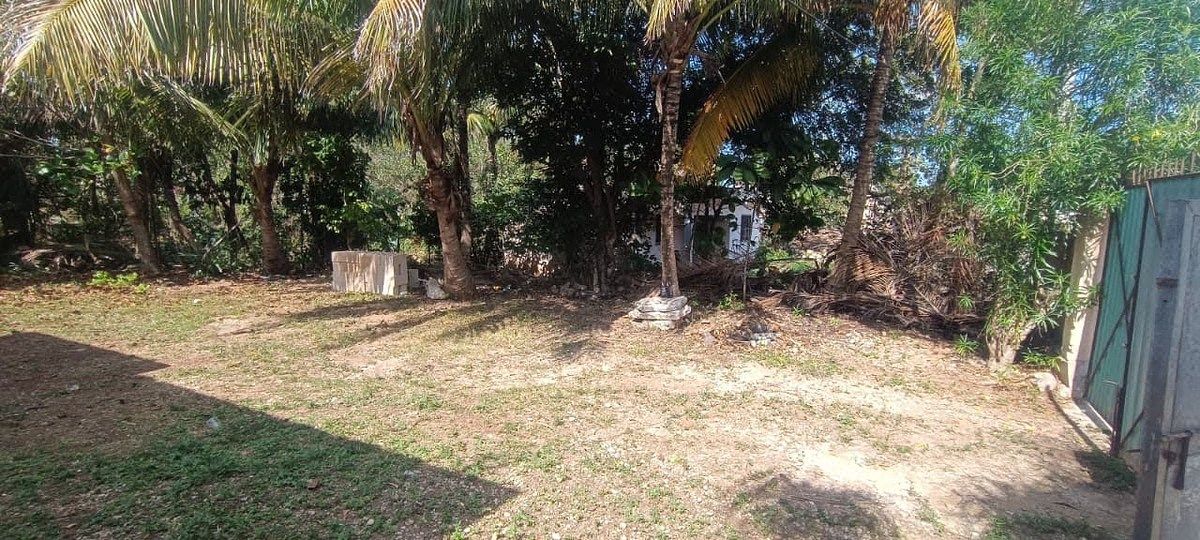Terreno en venta en Kaua a min del Aeropuerto Internacional de Chichén Itzá - foto 4