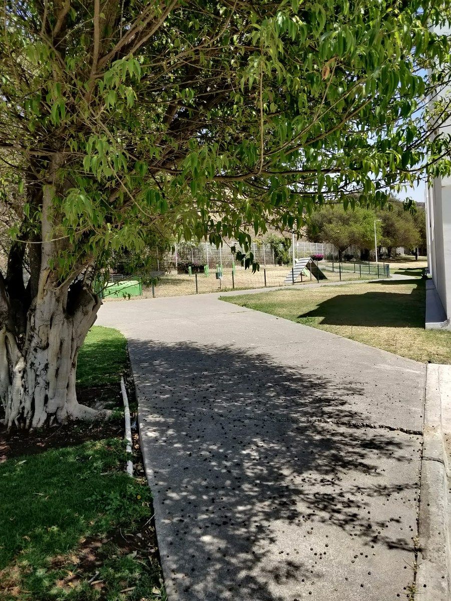 16 de 18: Áreas verdes