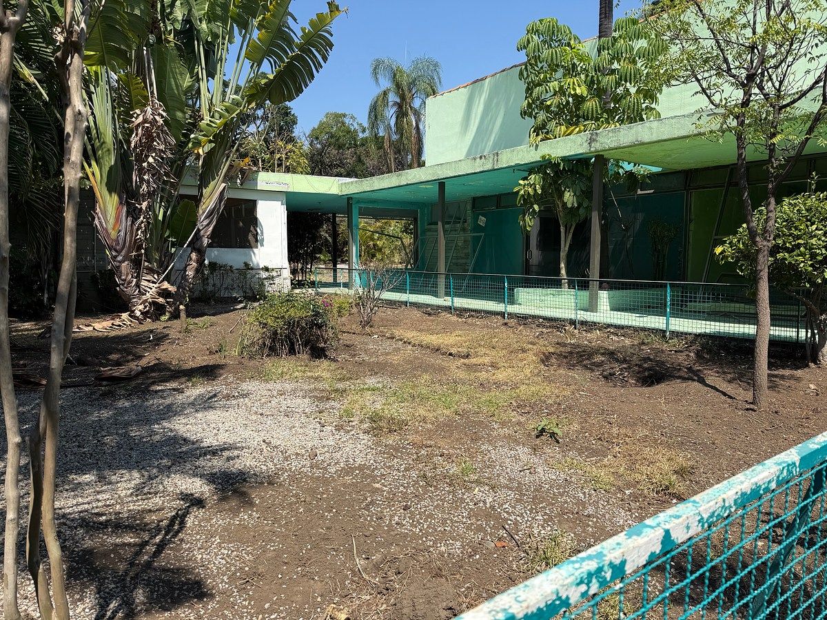 House in Delicias, Cuernavaca, photo 14 of 15