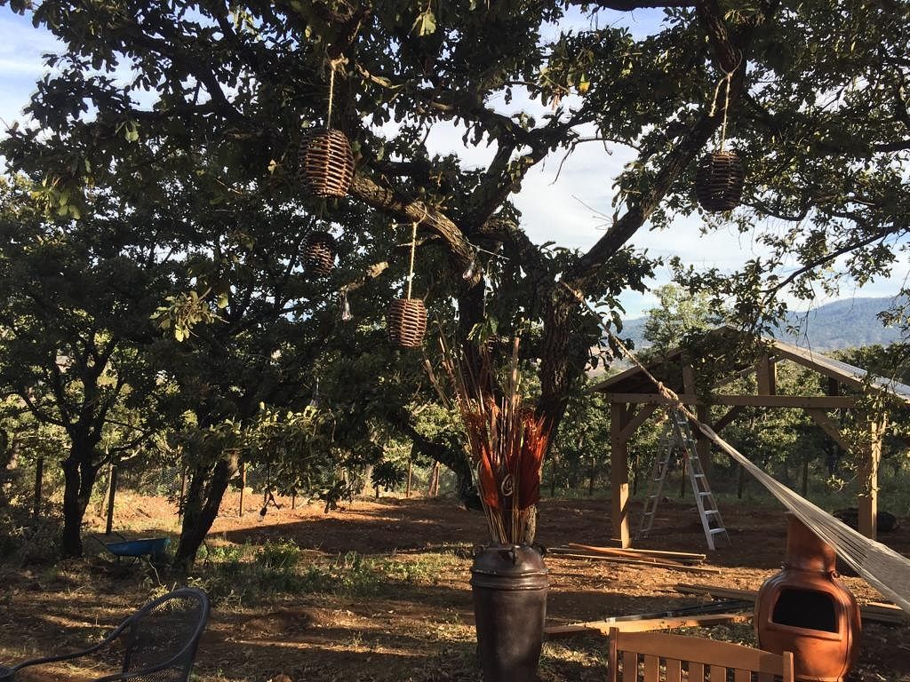 TERRENO EN VENTA en Monte Mitla, Mazamitla - foto 4