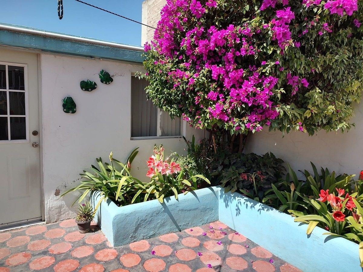 House in Texcoco de Mora Centro, Texcoco, photo 23 of 33