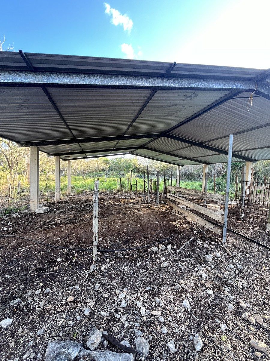 Rancho de 192.3 tem currais, árvores frutais, montanha alta e baixa., foto 1 de 31