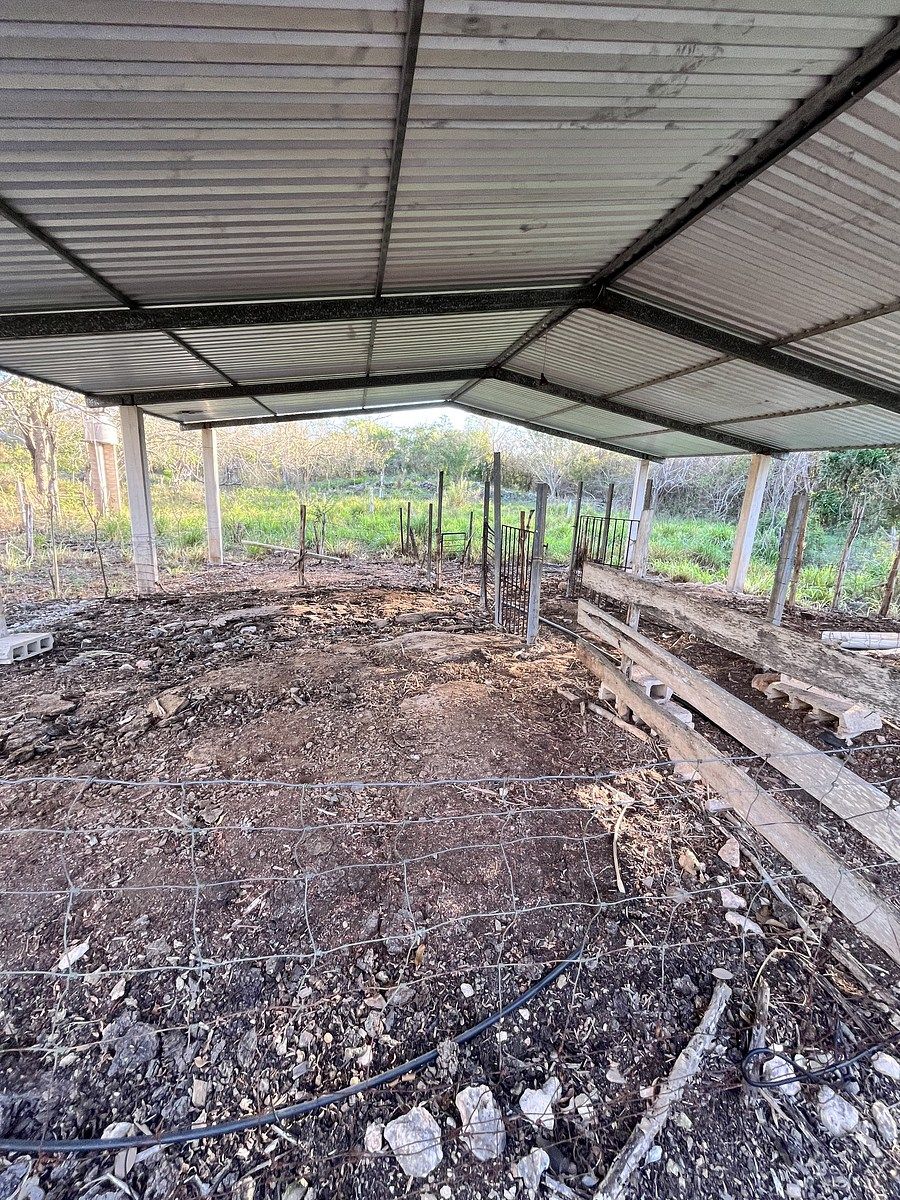 Fazenda em Tunkás, Tunkás, foto 2 de 31