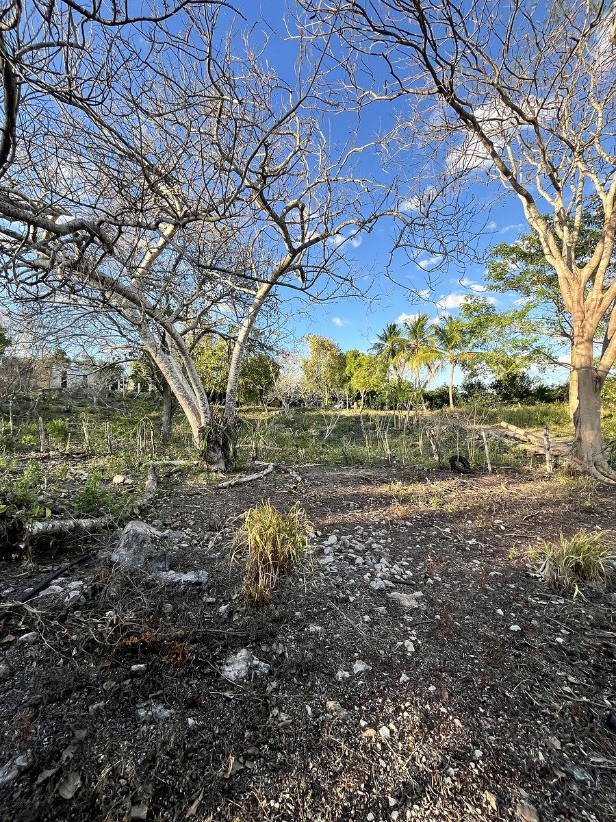 Fazenda em Tunkás, Tunkás, foto 3 de 31