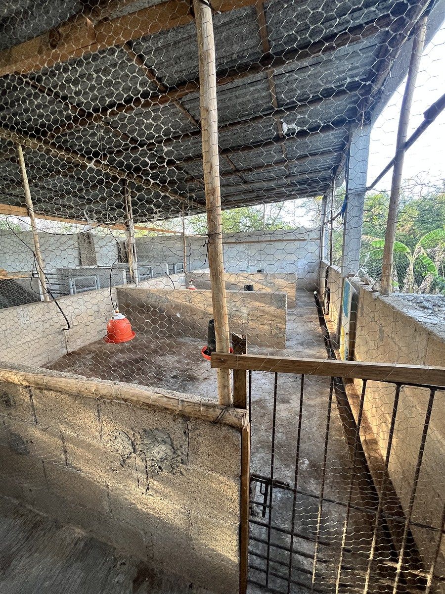 Fazenda em Tunkás, Tunkás, foto 4 de 31