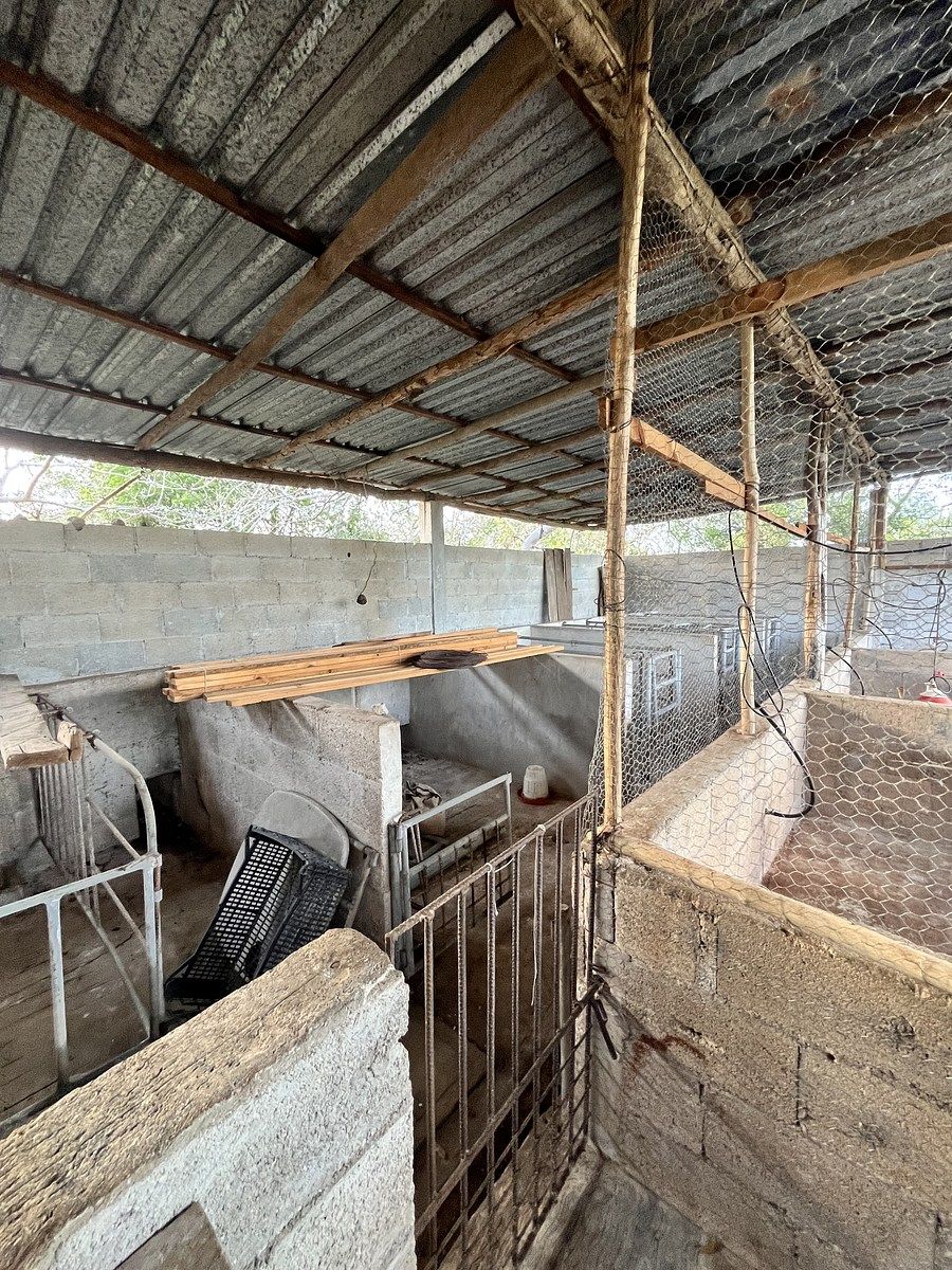 Fazenda em Tunkás, Tunkás, foto 6 de 31