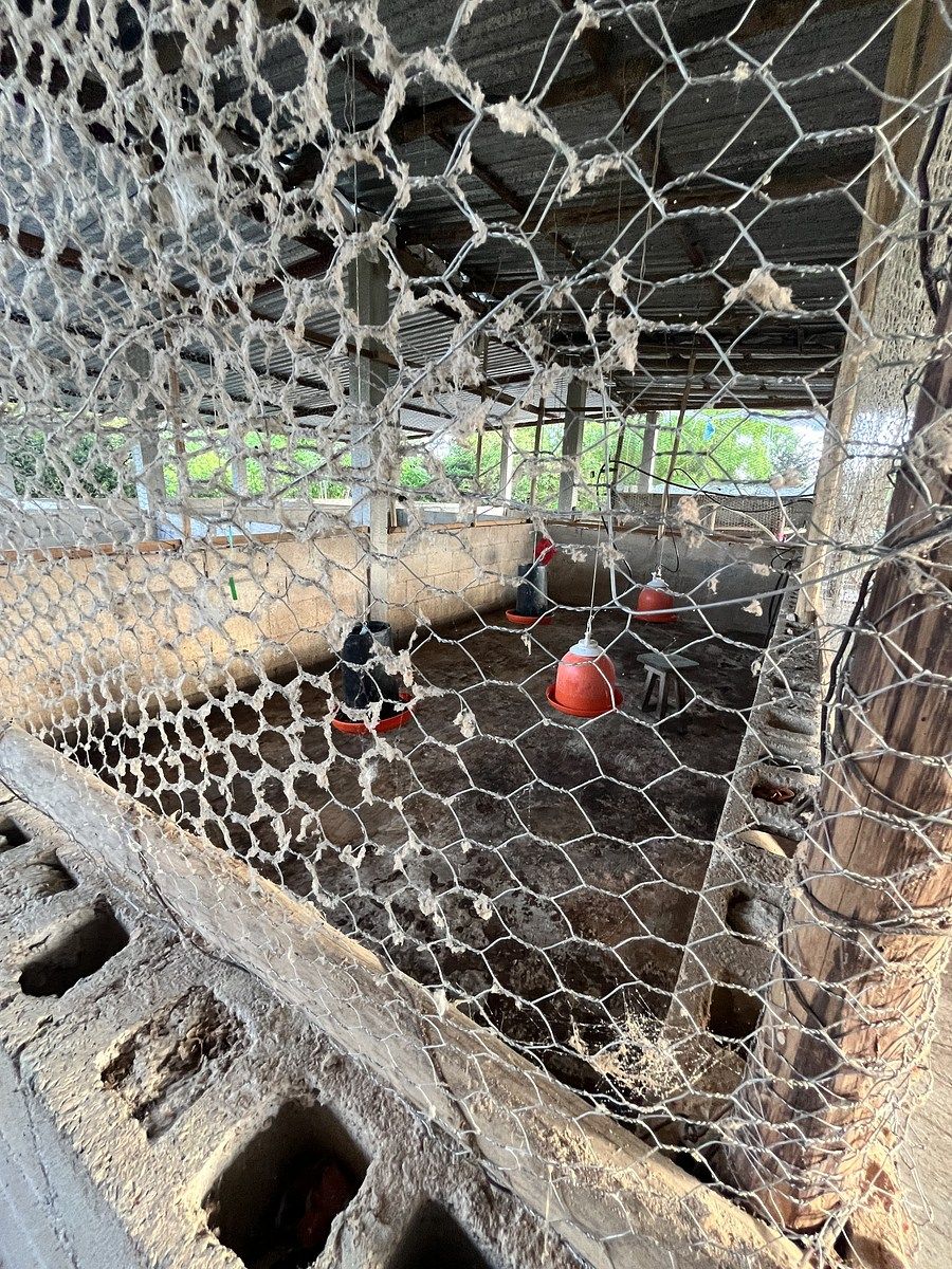 Fazenda em Tunkás, Tunkás, foto 7 de 31