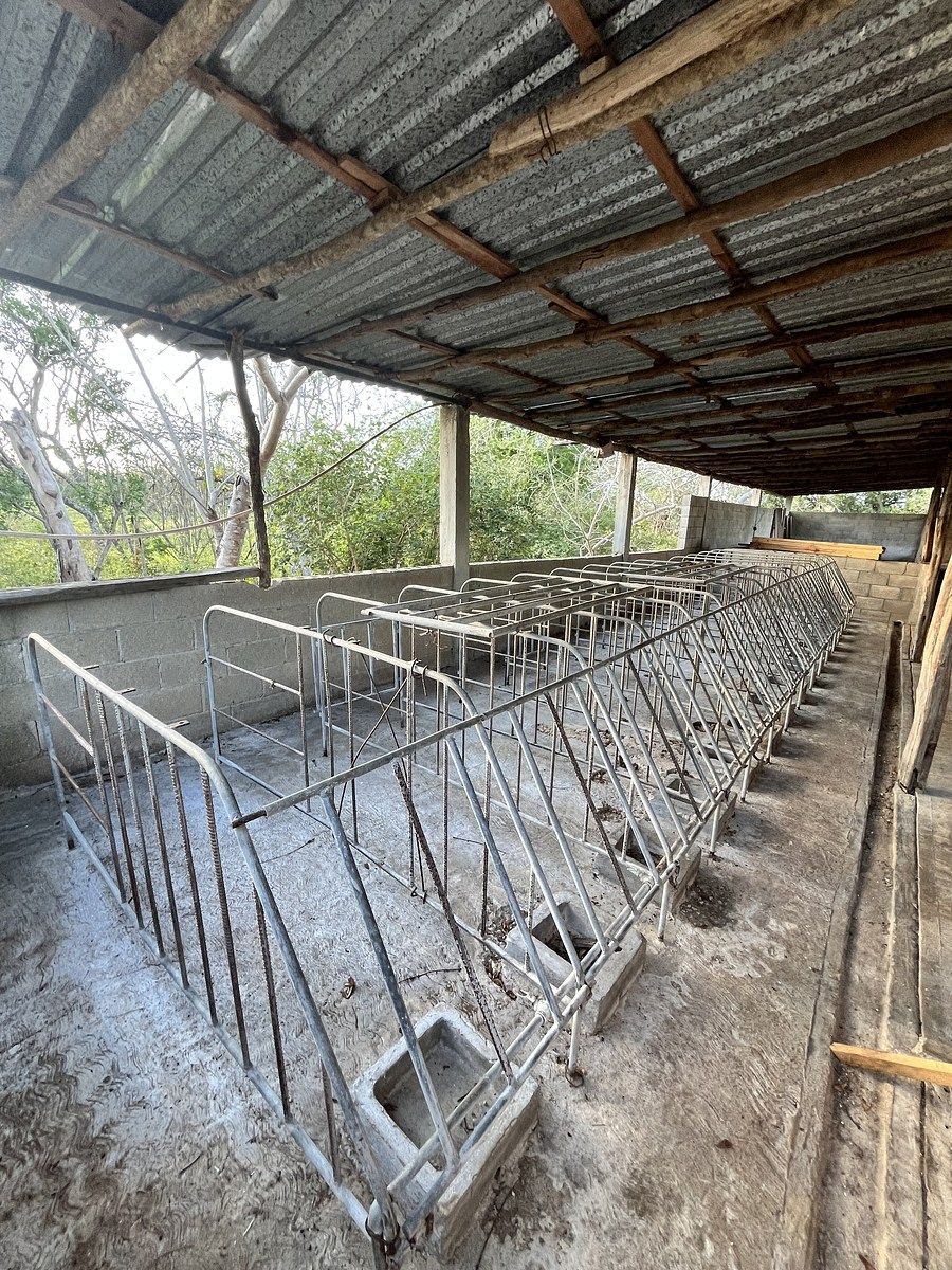 Fazenda em Tunkás, Tunkás, foto 9 de 31