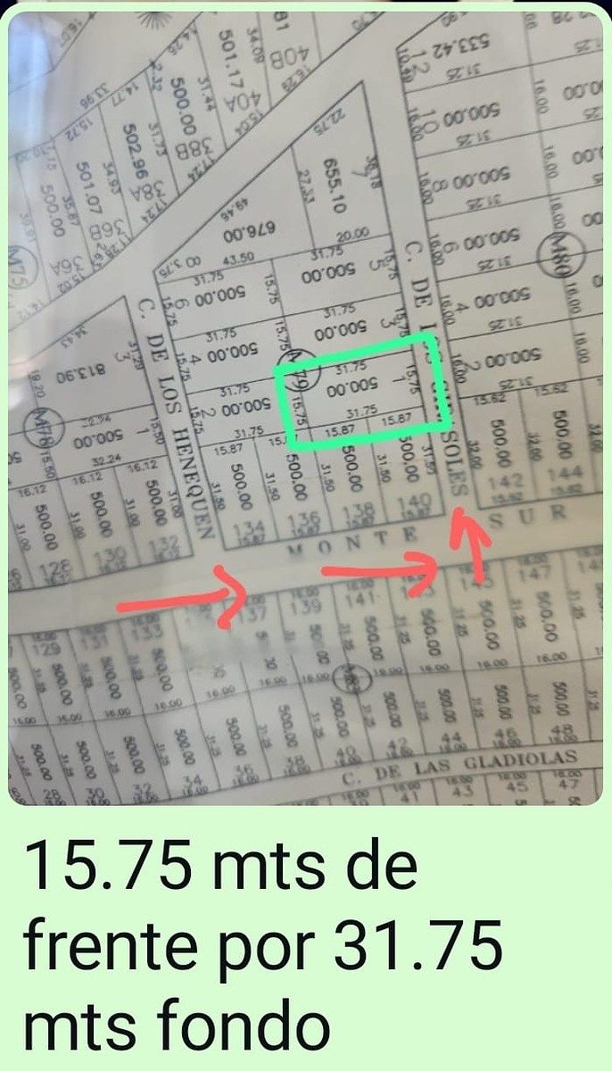 30 of 32: MANZANA 79 CALLE GIRASOLES