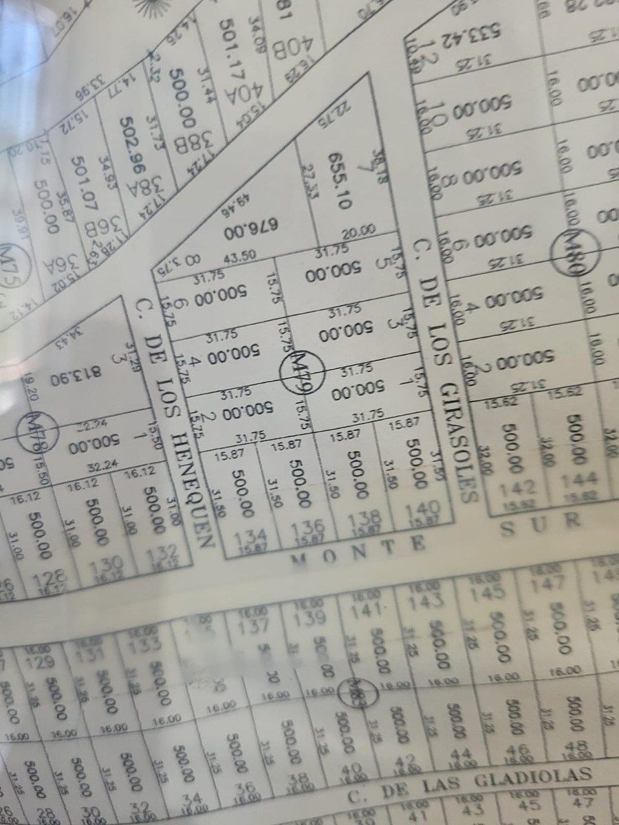 32 of 32: MANZANA AVE PPAL Y GIRASOLES