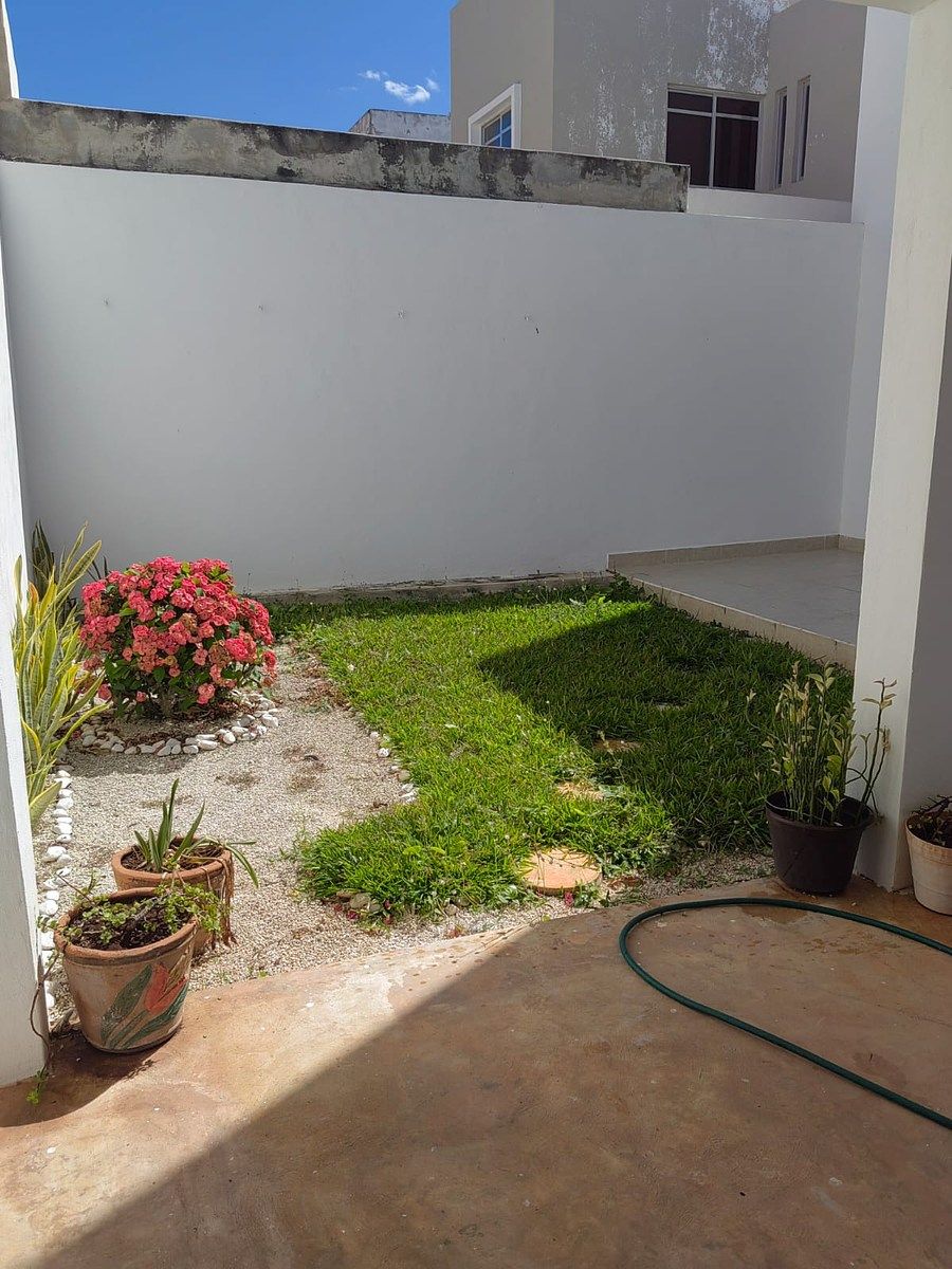 Jardín patio trasero, foto 13 de 22