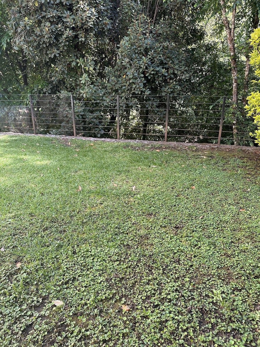 13 de 20