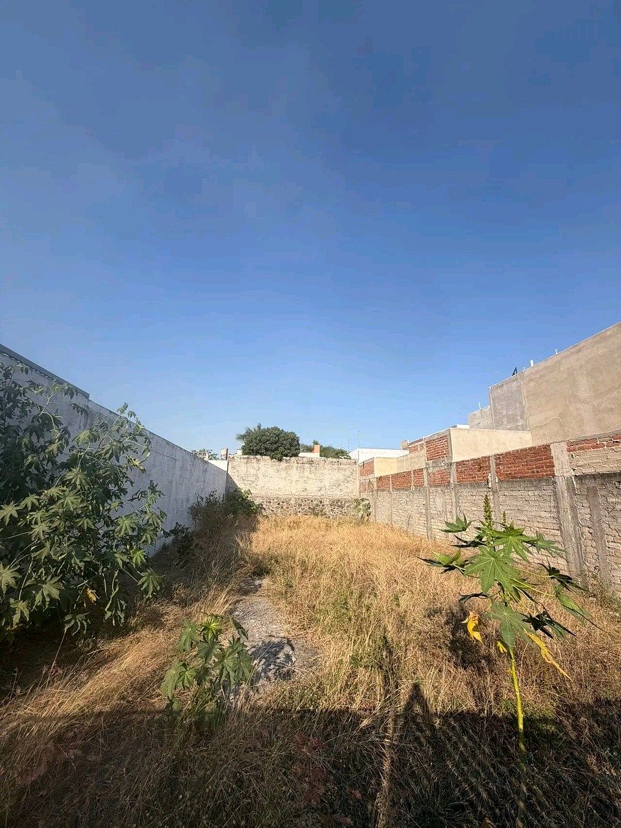 Land in Colima - foto 5