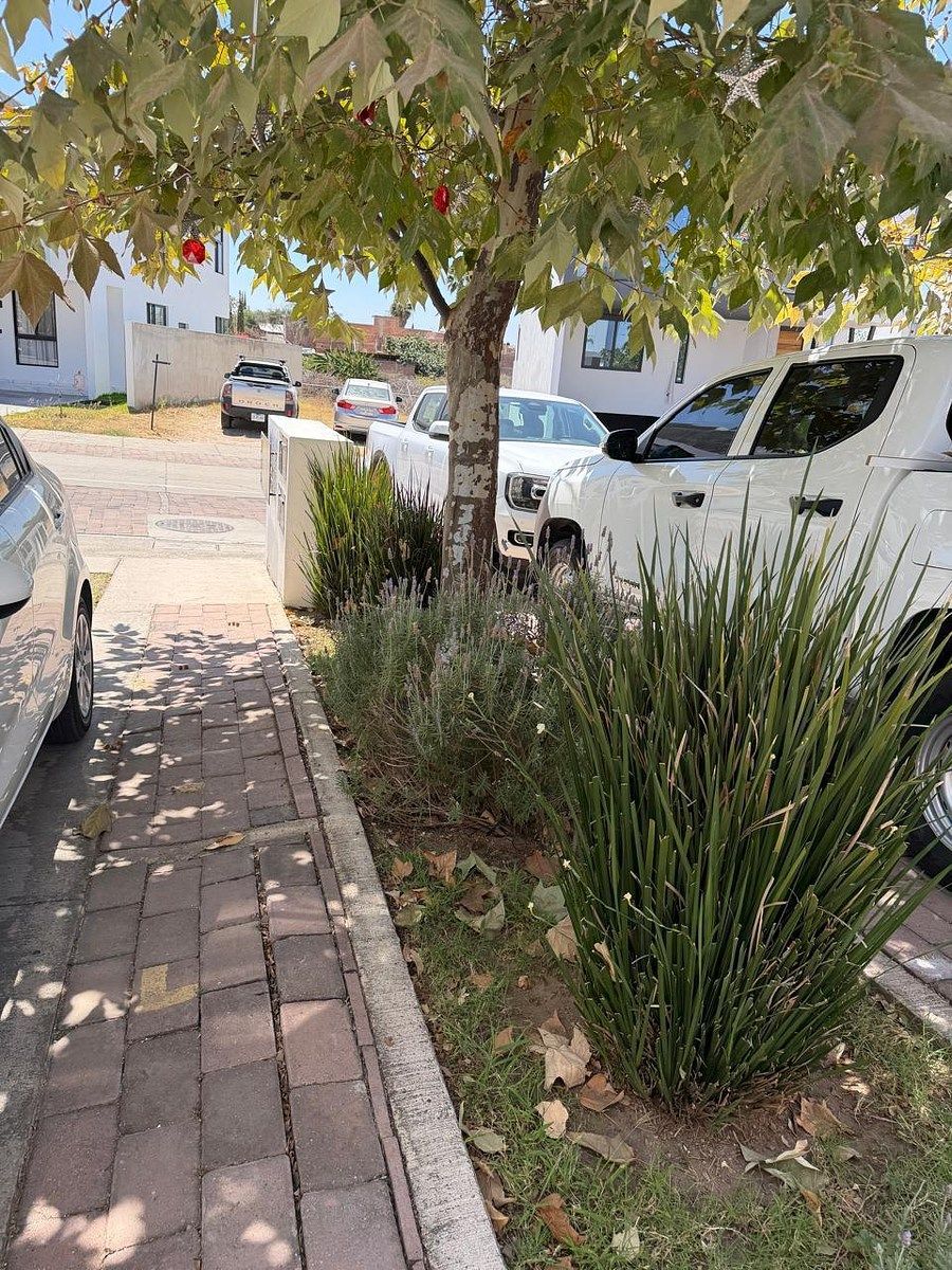 6 de 31: Estacionamiento