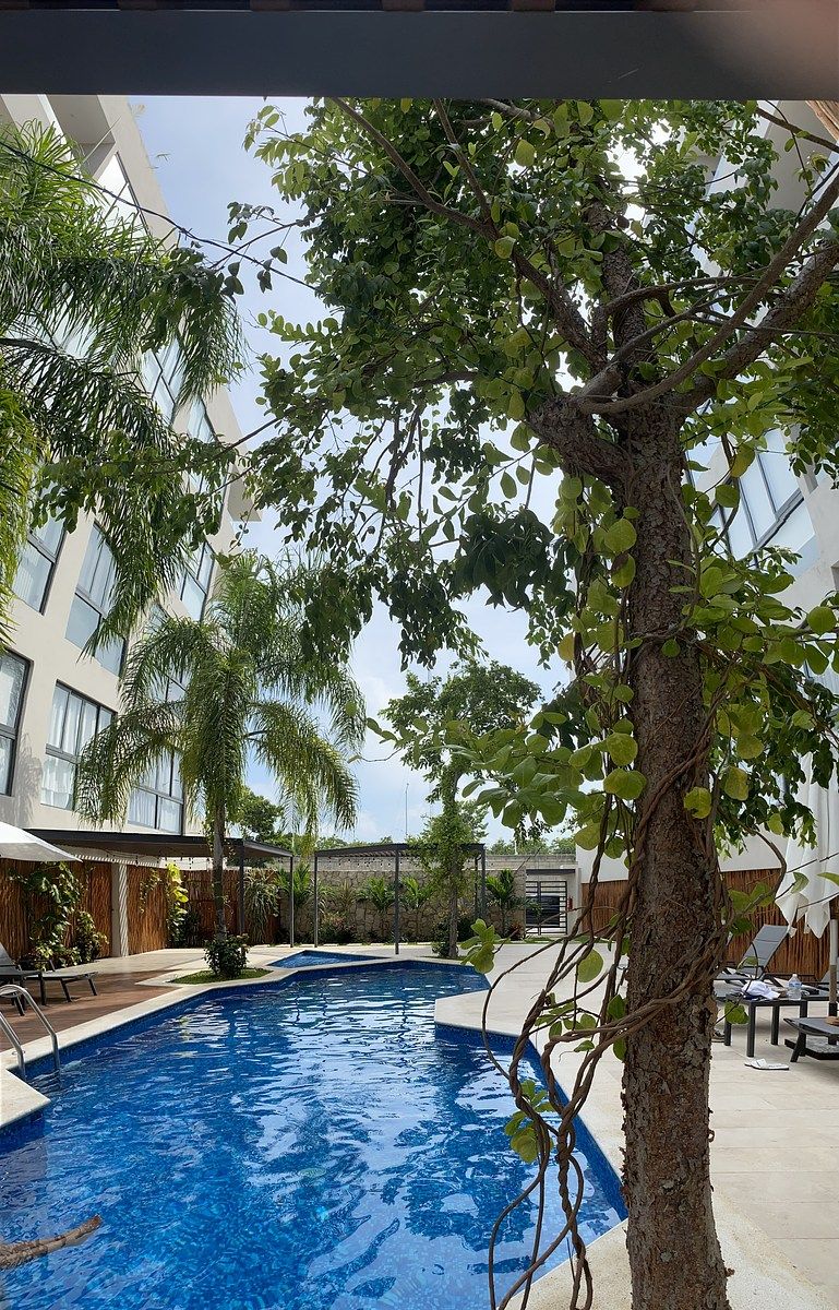 Departamento en Ejidal, Playa del Carmen, foto 9 de 42